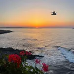 Amarena Santa Marina,