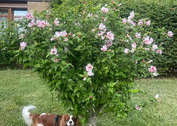 아파트 Amarena Santa Marina, *