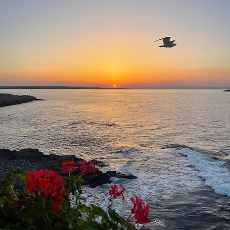 Amarena Santa Marina,